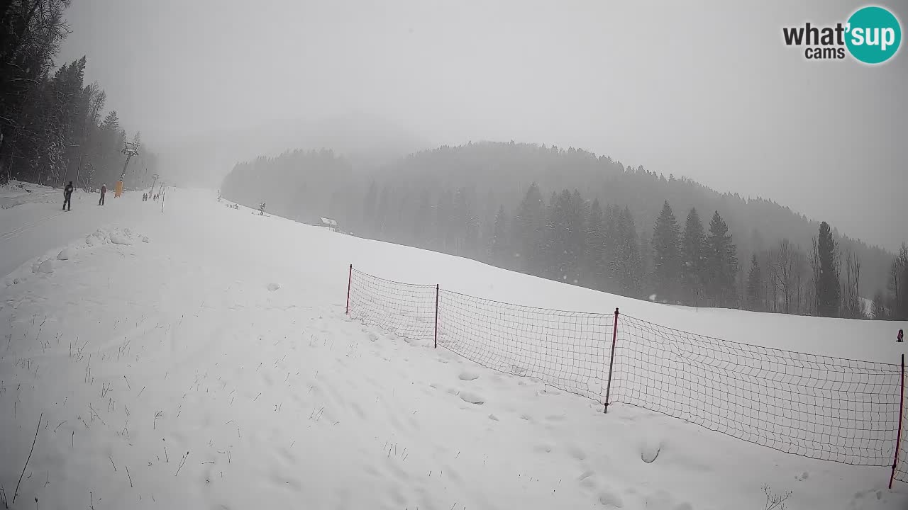 RTC Kranjska Gora | Brsnina
