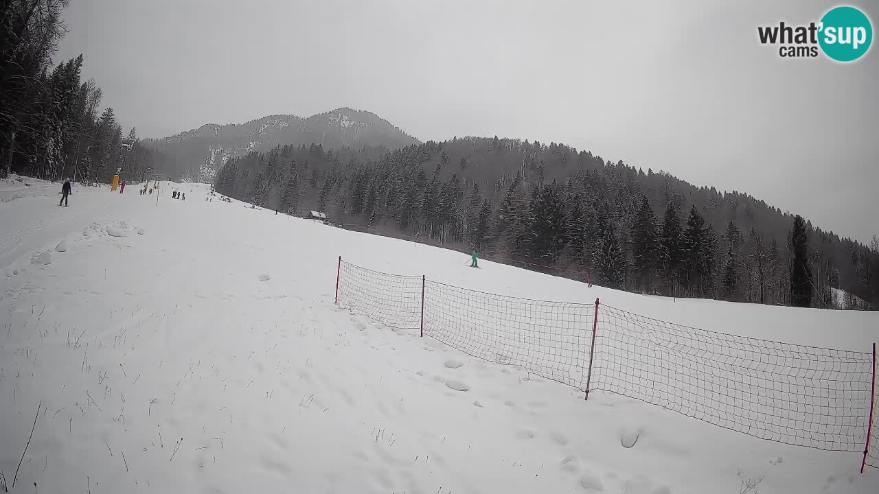 RTC Kranjska Gora | Brsnina