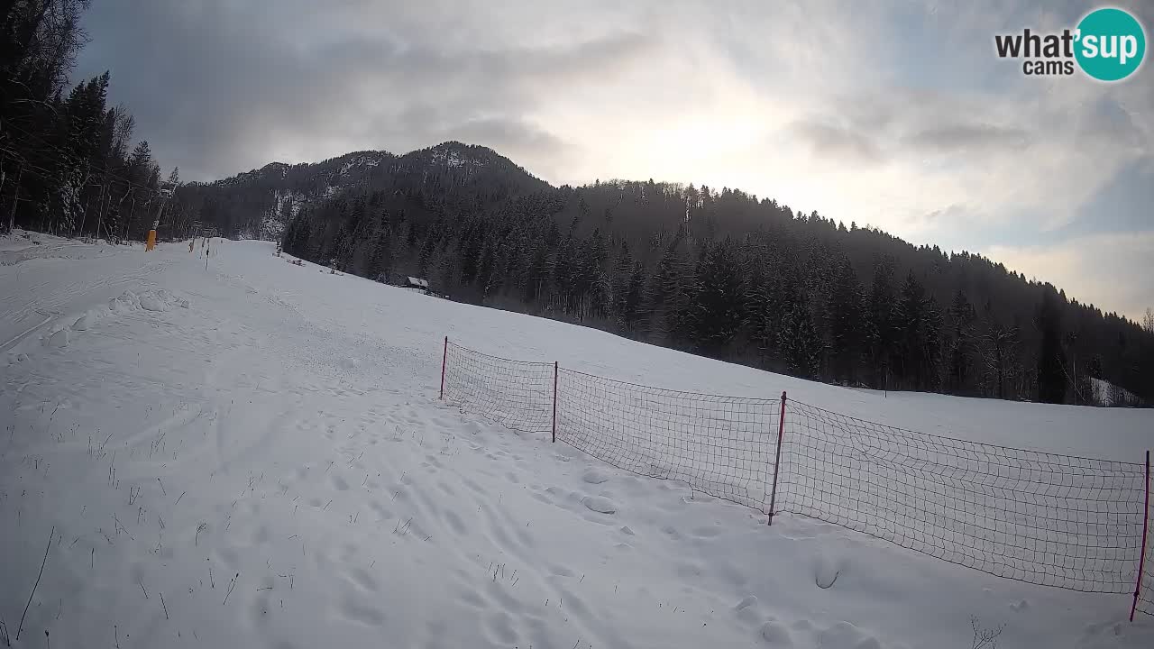 Comprensorio sciistico Kranjska Gora | Brsnina