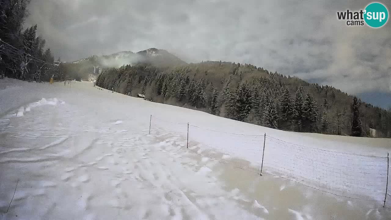 Kranjska Gora SKIJANJE | Brsnina
