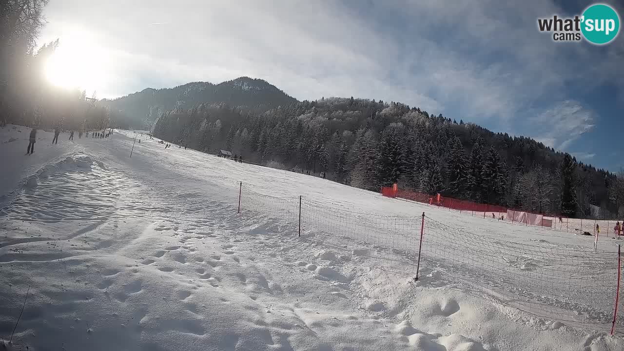 Kranjska Gora SKIJANJE | Brsnina