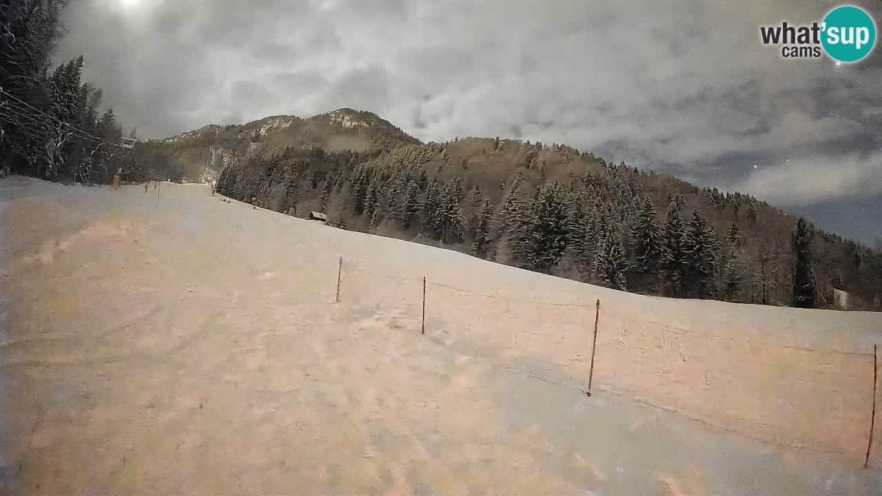 Esquí Kranjska Gora | Brsnina
