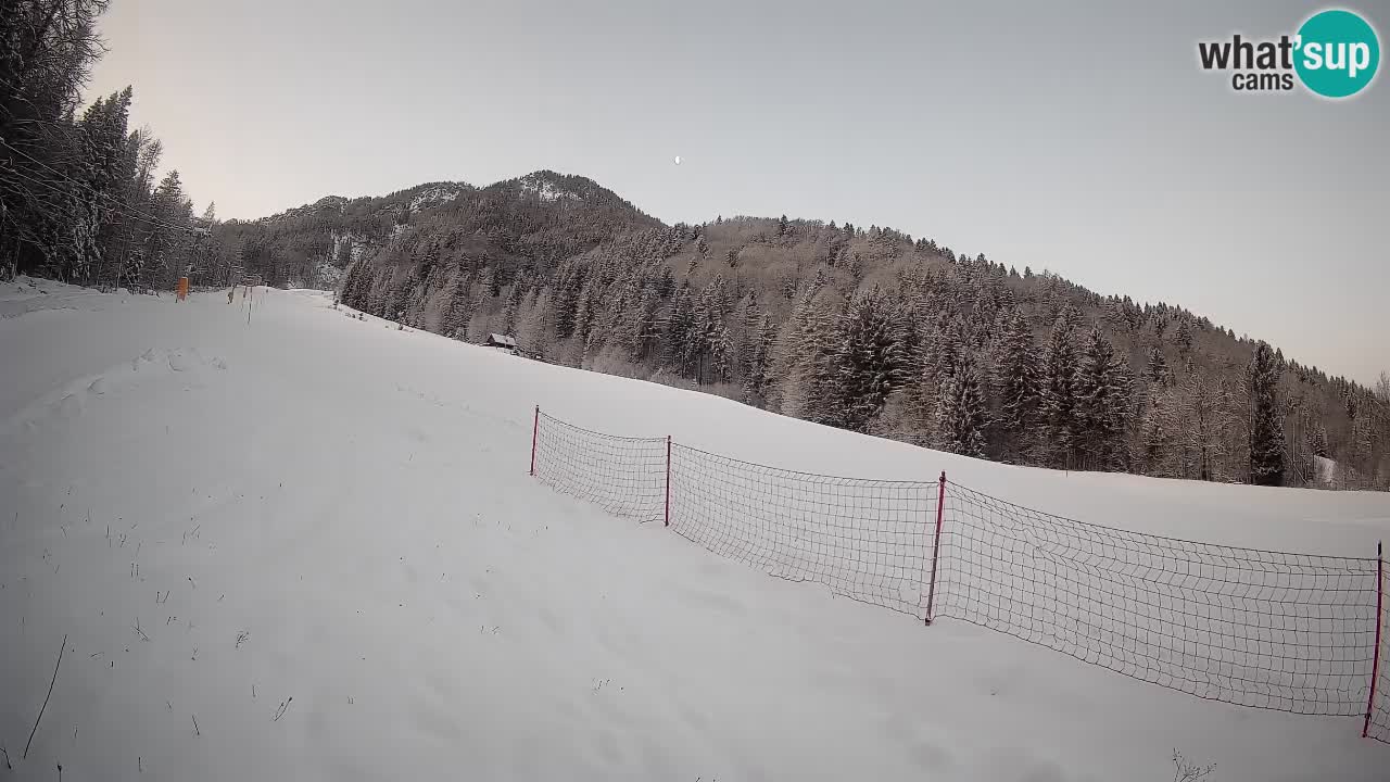 Ski Kranjska Gora | Brsnina