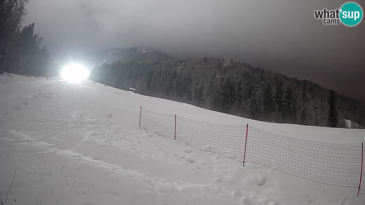 Kranjska Gora Station de ski | Brsnina