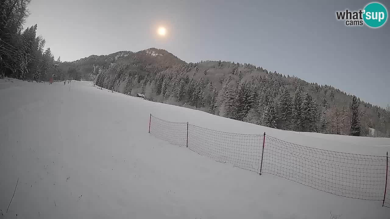 Kranjska Gora Station de ski | Brsnina
