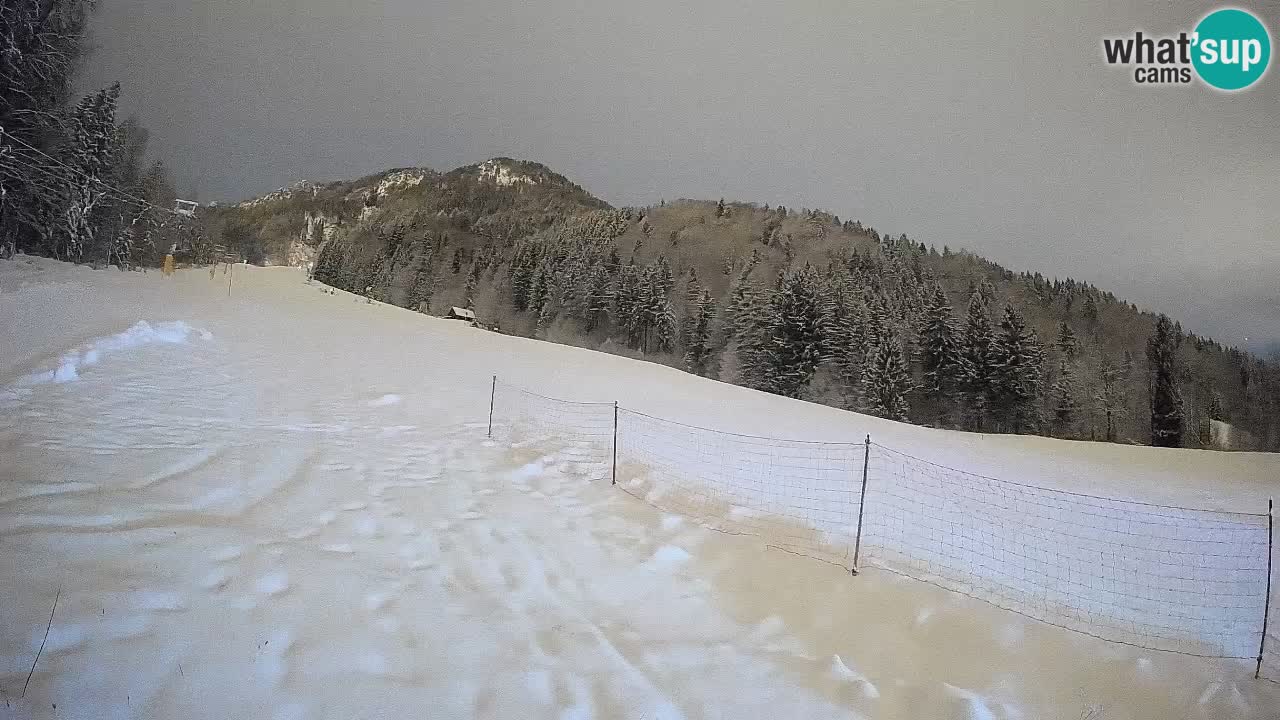 Kranjska Gora Station de ski | Brsnina