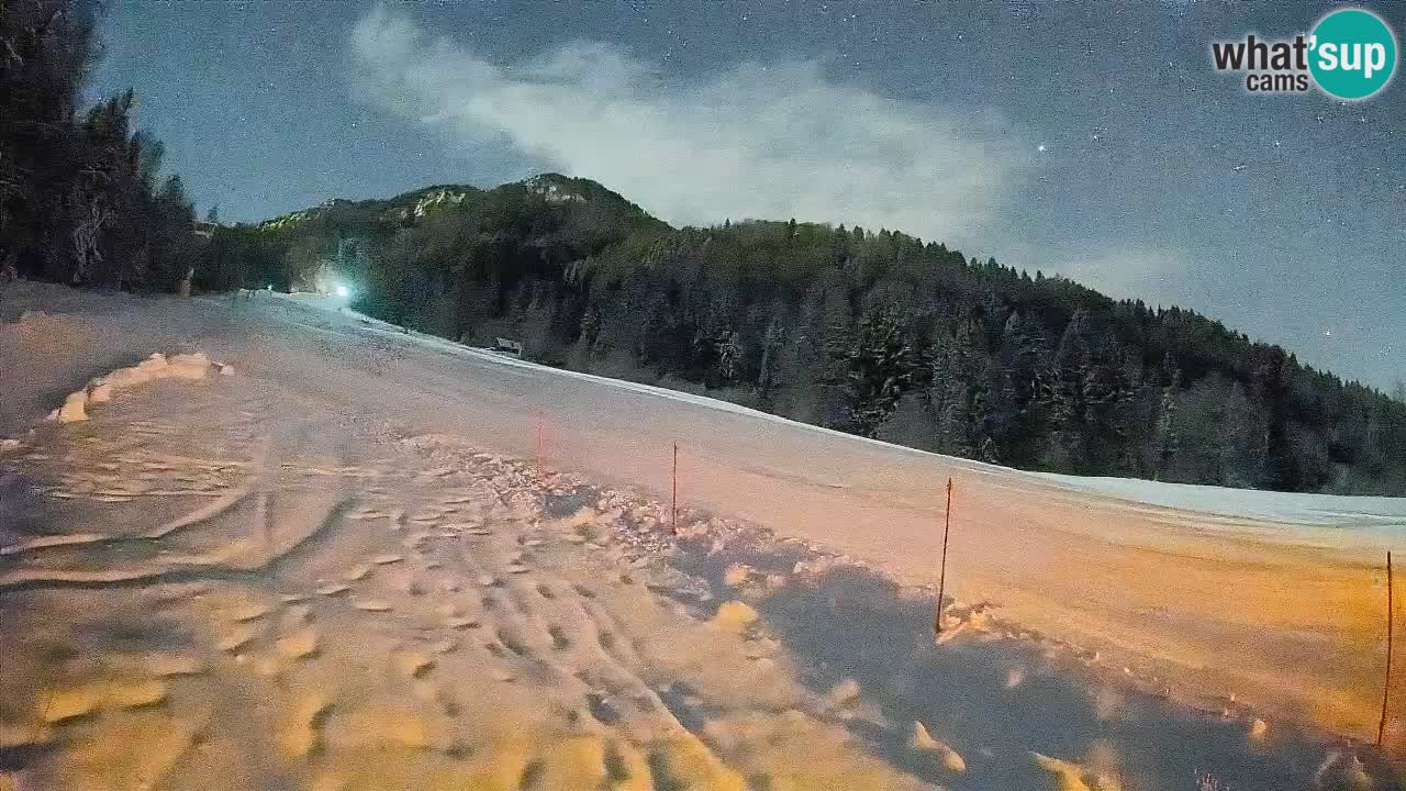 RTC Kranjska Gora | Brsnina