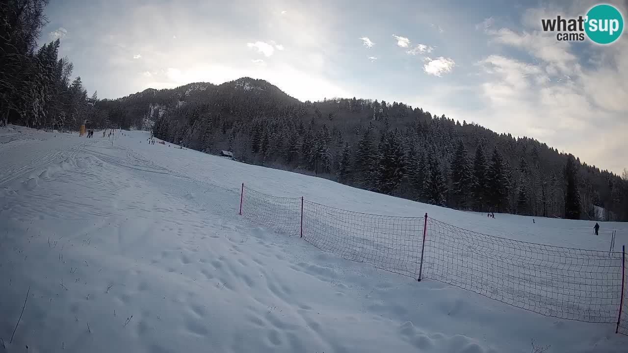 RTC Kranjska Gora | Brsnina