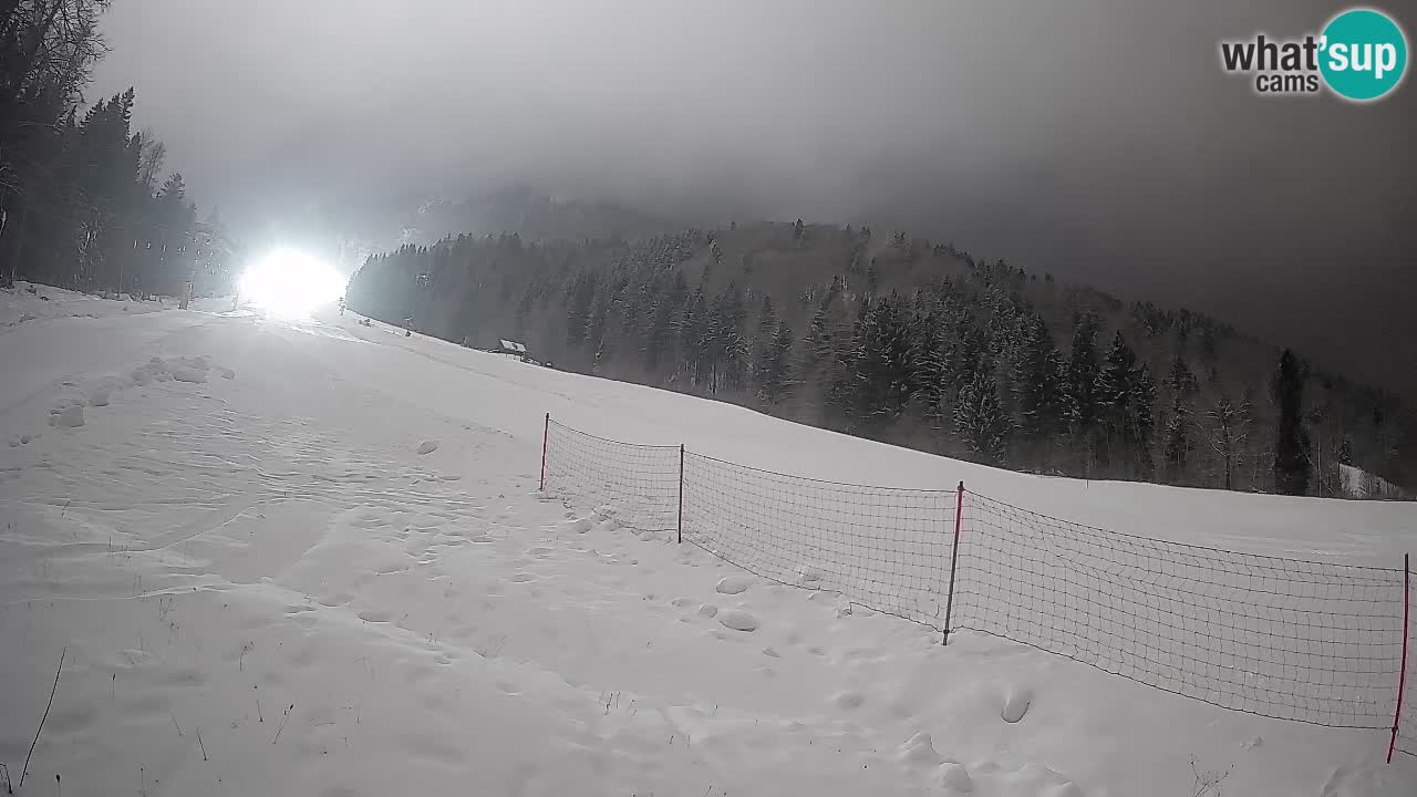Ski Kranjska Gora | Brsnina