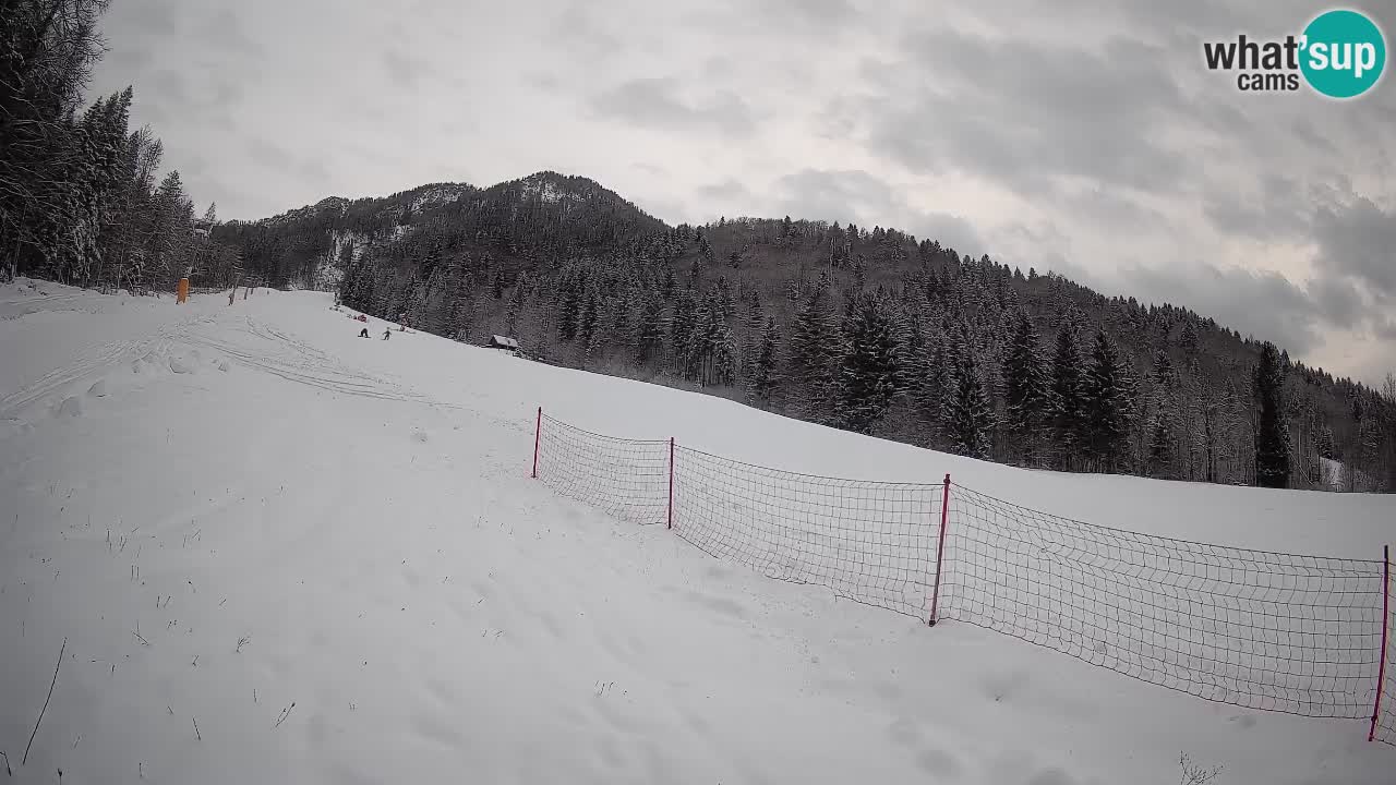 Ski Kranjska Gora | Brsnina