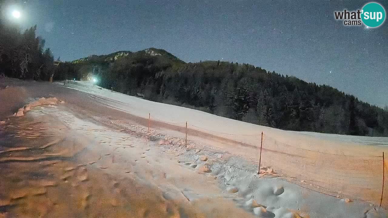 Ski Kranjska Gora | Brsnina