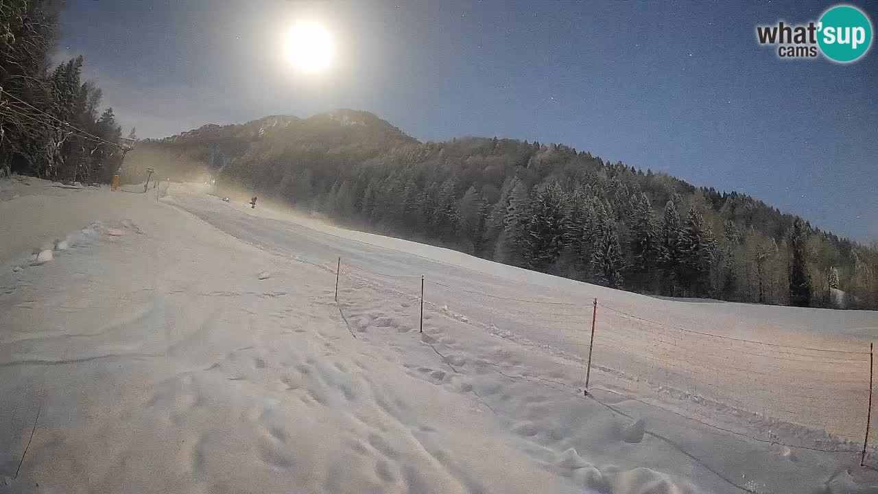 Esquí Kranjska Gora | Brsnina