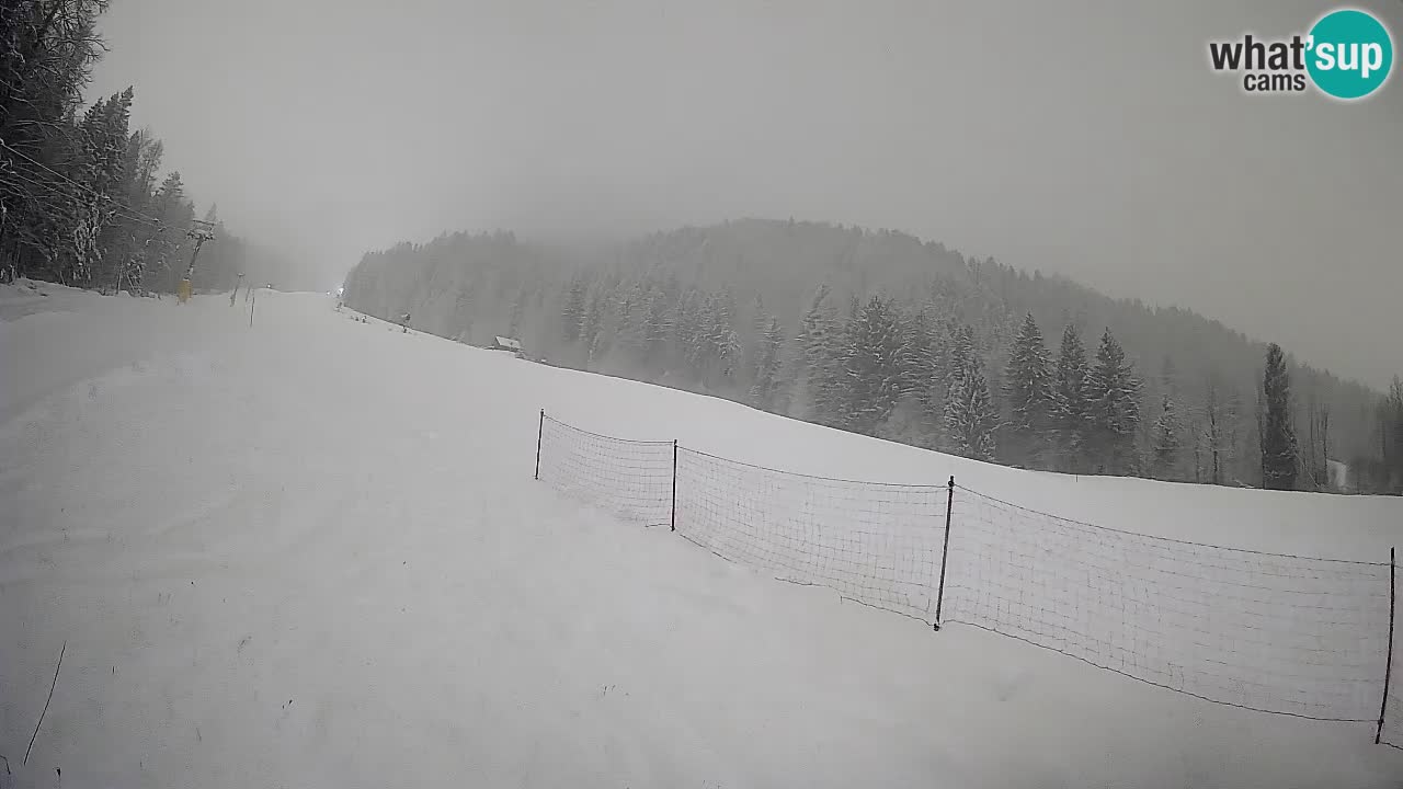 Kranjska Gora Station de ski | Brsnina