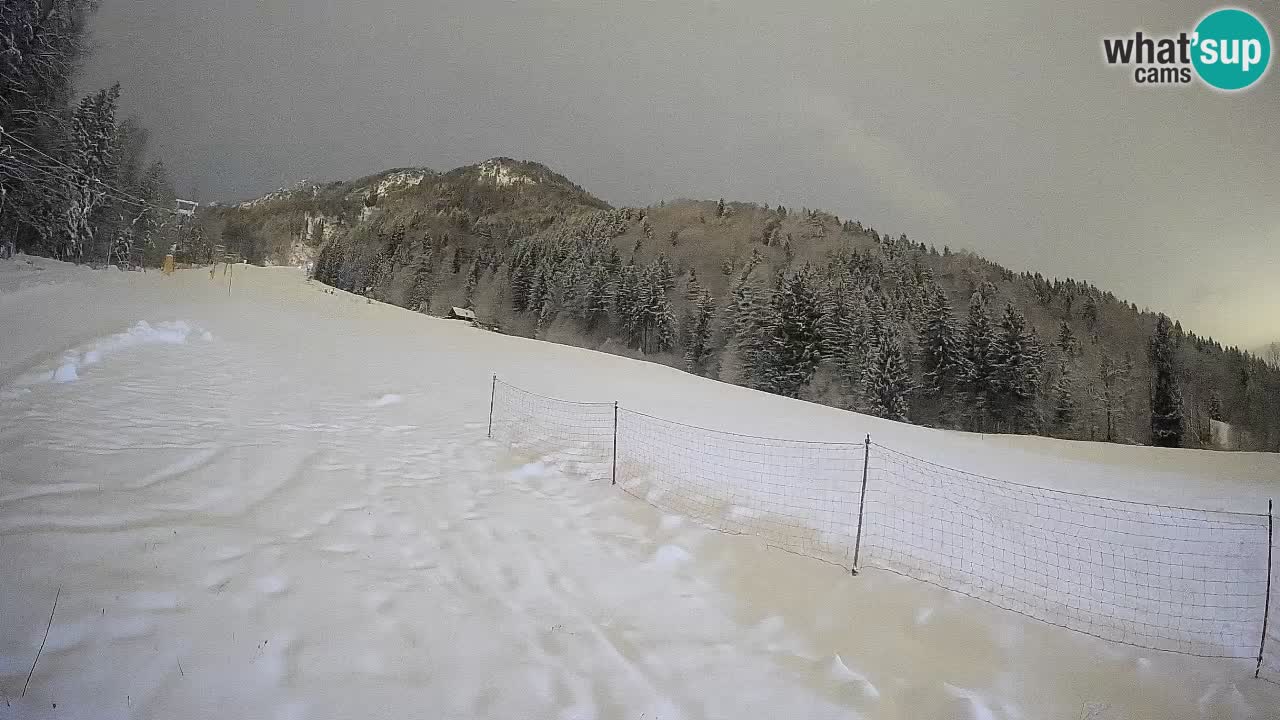 RTC Kranjska Gora | Brsnina