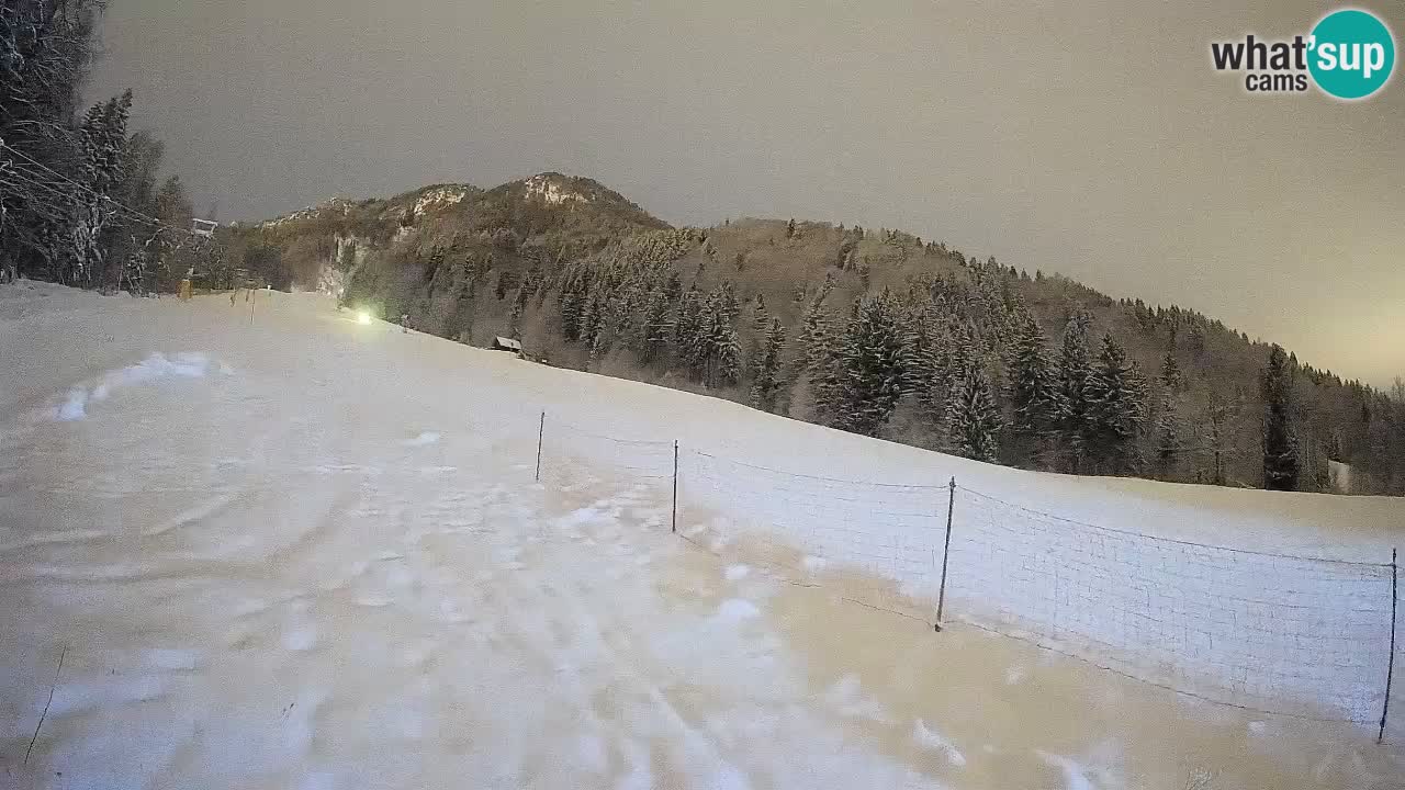 Kranjska Gora SKIJANJE | Brsnina