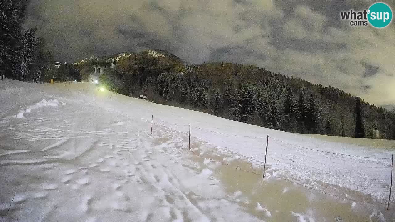RTC Skigebiet Kranjska Gora | Brsnina