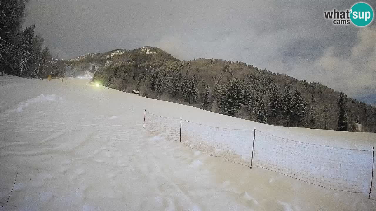 Comprensorio sciistico Kranjska Gora | Brsnina