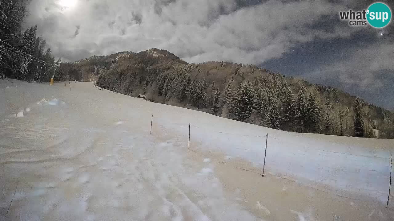 Comprensorio sciistico Kranjska Gora | Brsnina