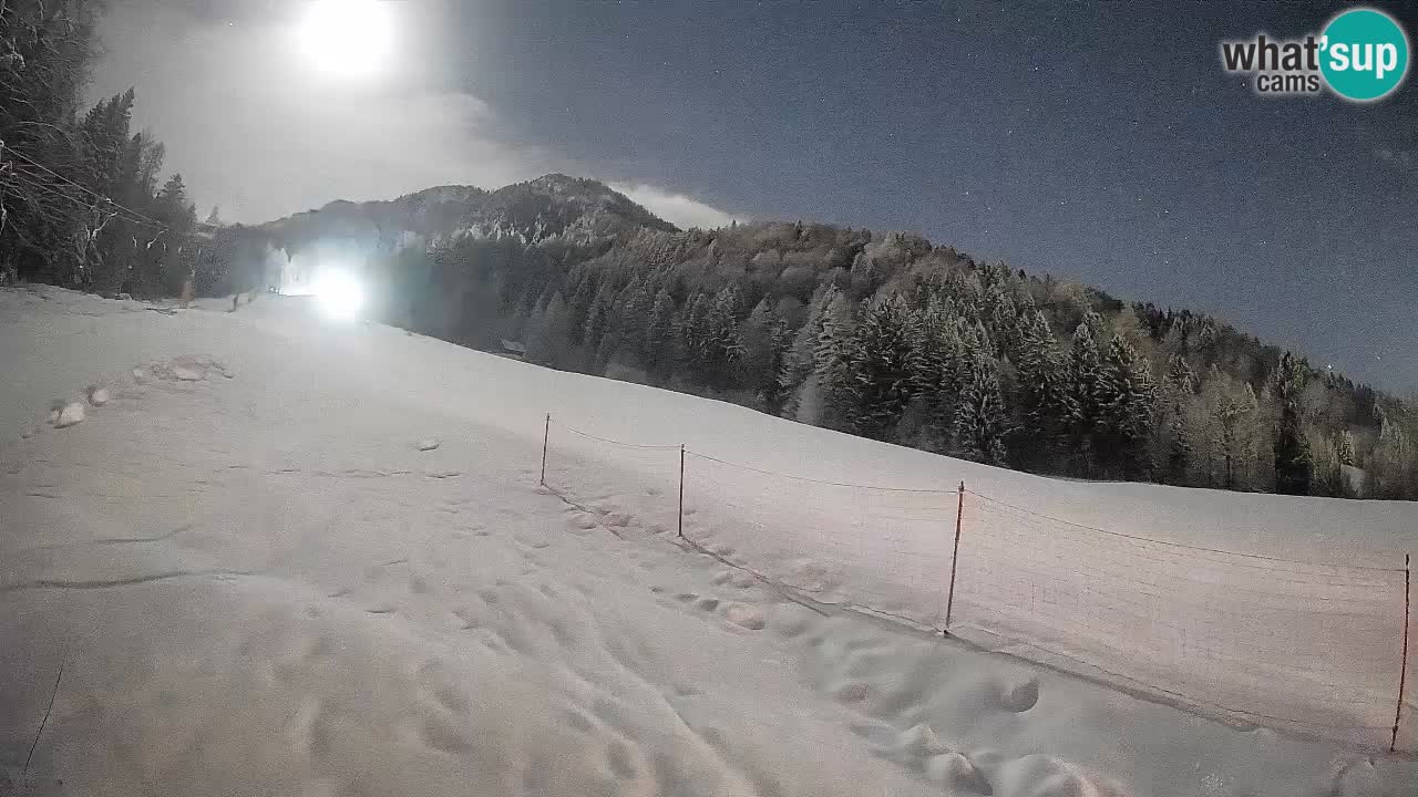 Ski Kranjska Gora | Brsnina