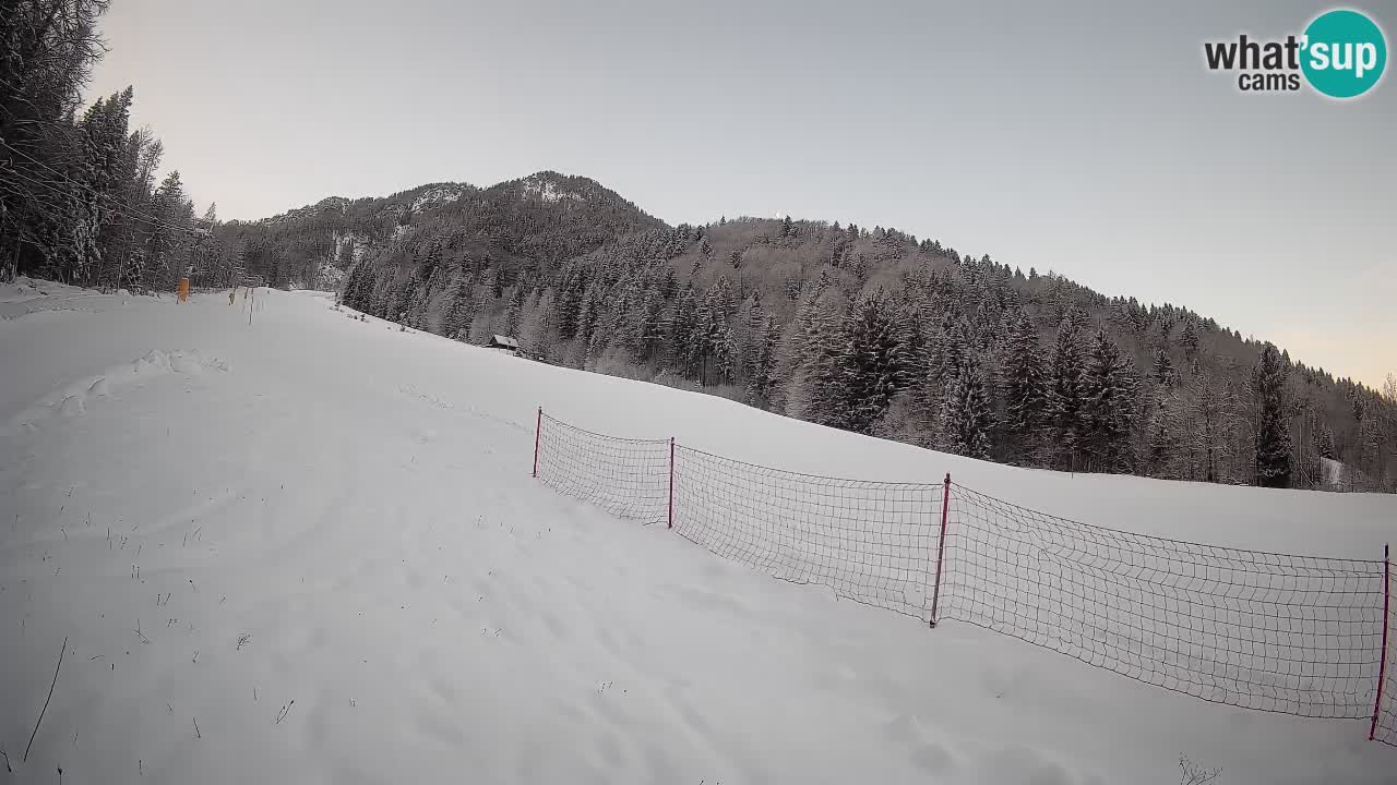 Esquí Kranjska Gora | Brsnina