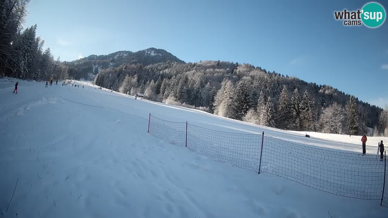 Comprensorio sciistico Kranjska Gora | Brsnina