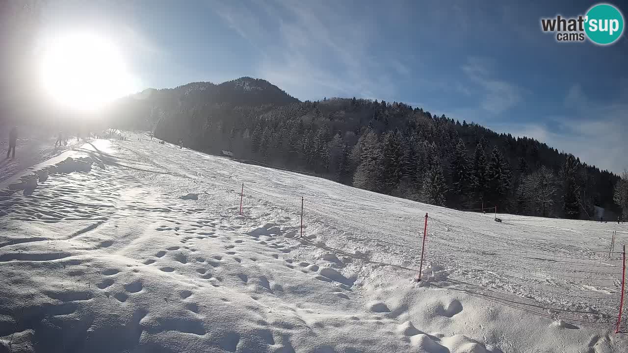 Ski Kranjska Gora | Brsnina