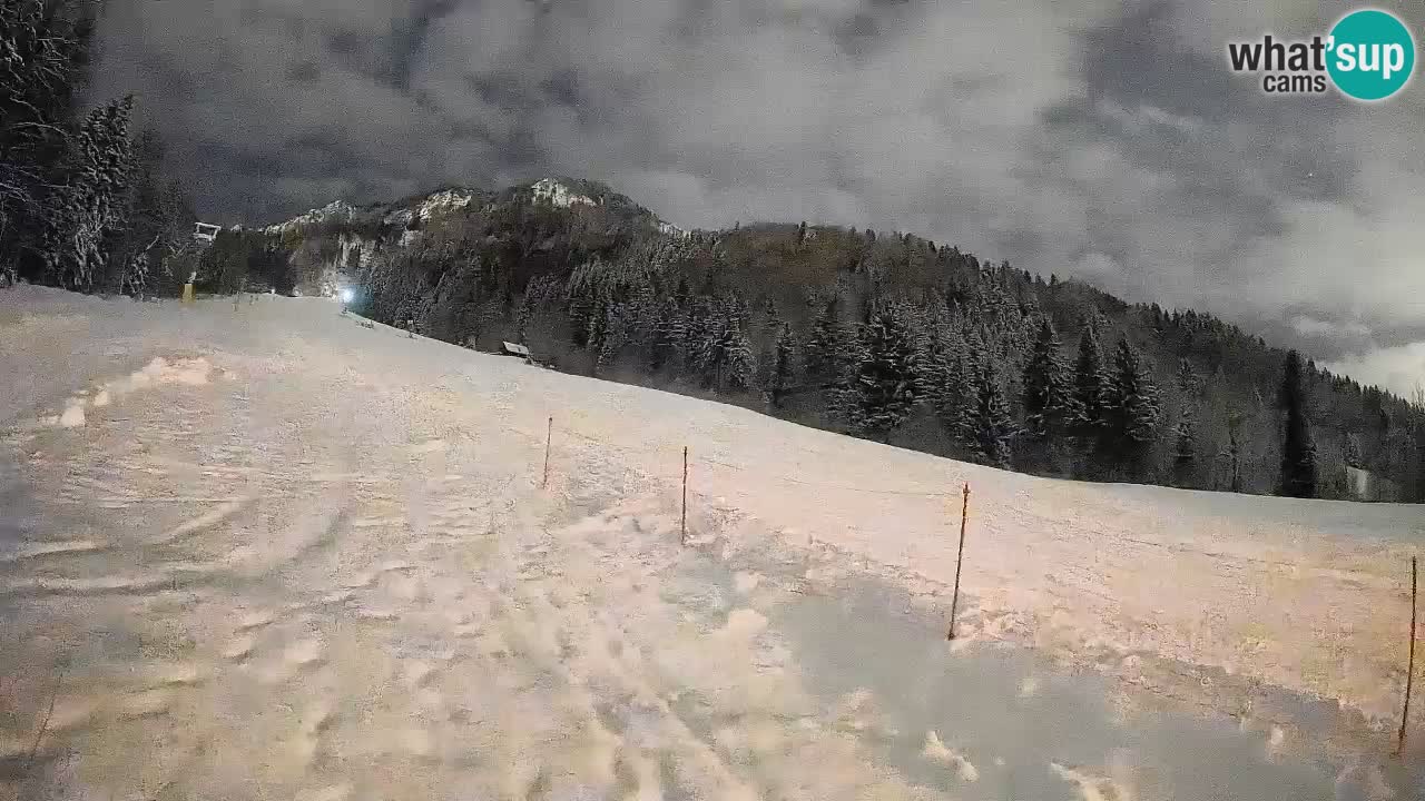 Comprensorio sciistico Kranjska Gora | Brsnina