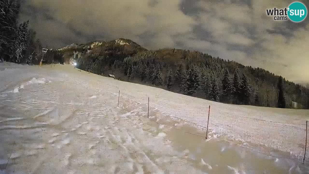 Comprensorio sciistico Kranjska Gora | Brsnina