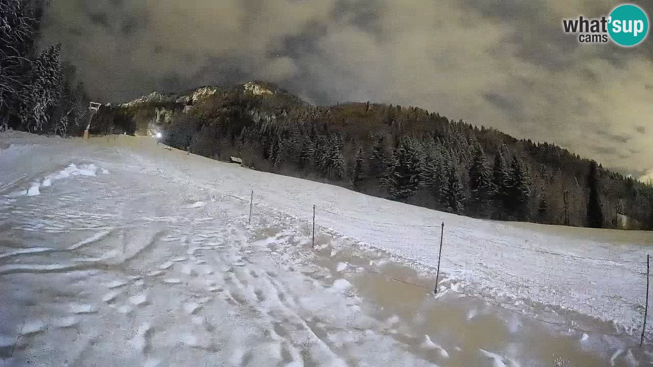 Kranjska Gora SKIJANJE | Brsnina