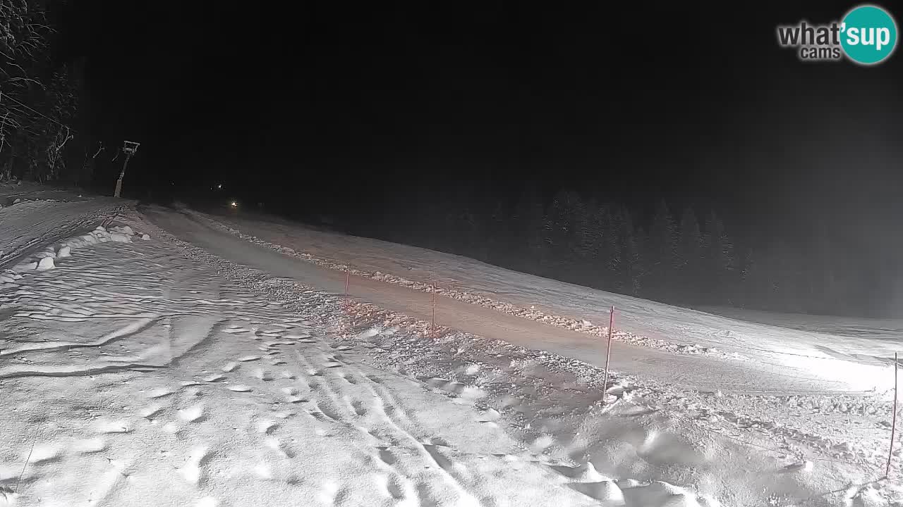 RTC Skigebiet Kranjska Gora | Brsnina