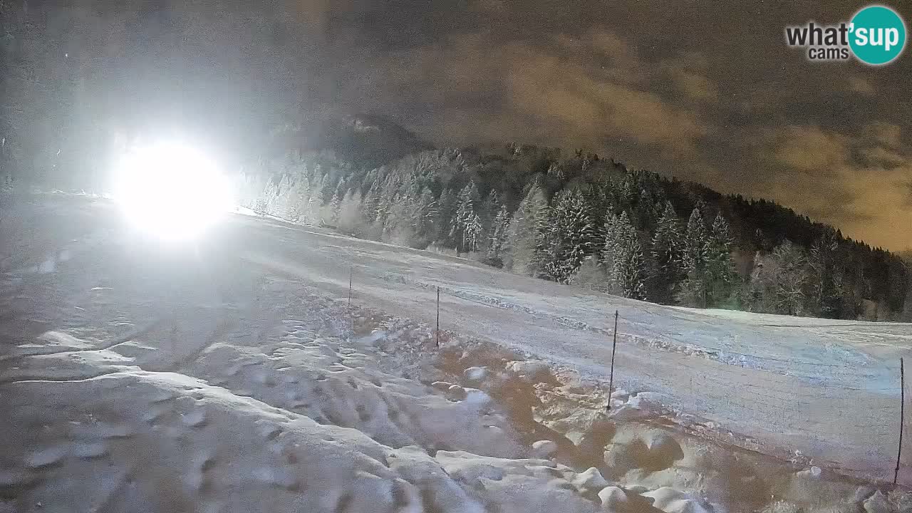 Esquí Kranjska Gora | Brsnina