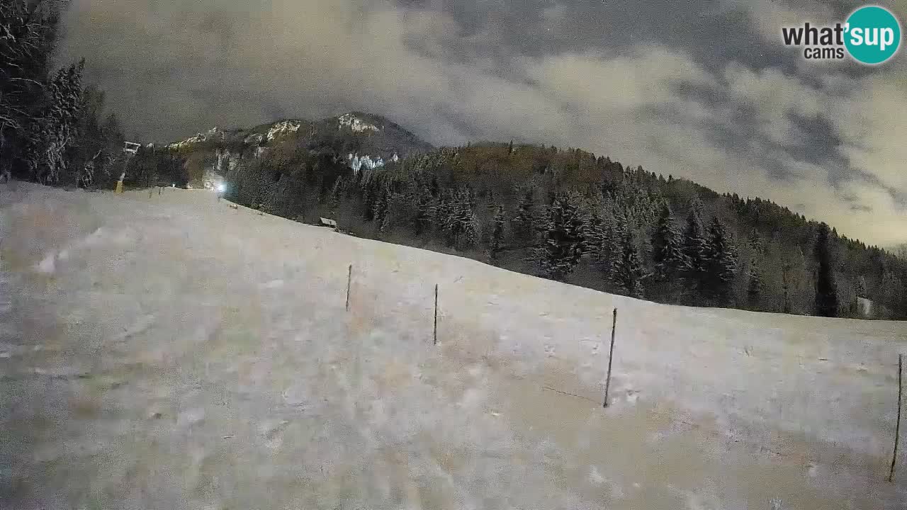 Esquí Kranjska Gora | Brsnina