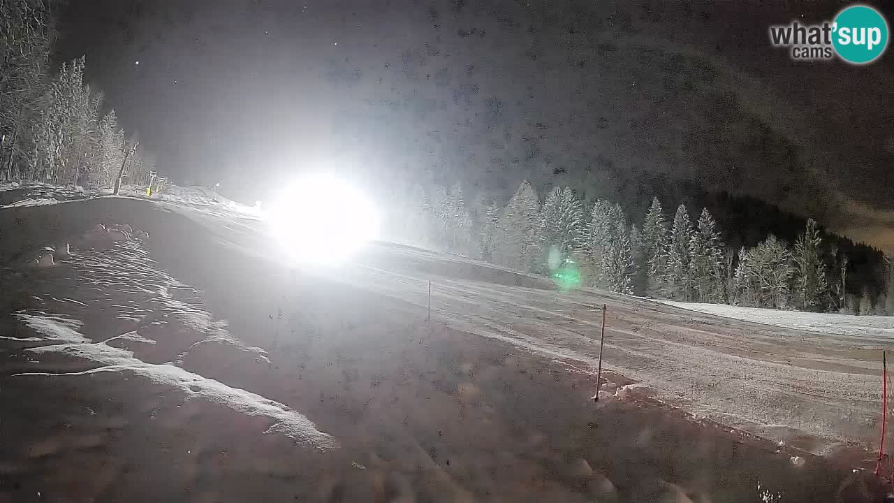 Esquí Kranjska Gora | Brsnina