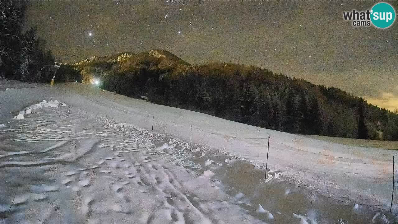 Kranjska Gora SKIJANJE | Brsnina