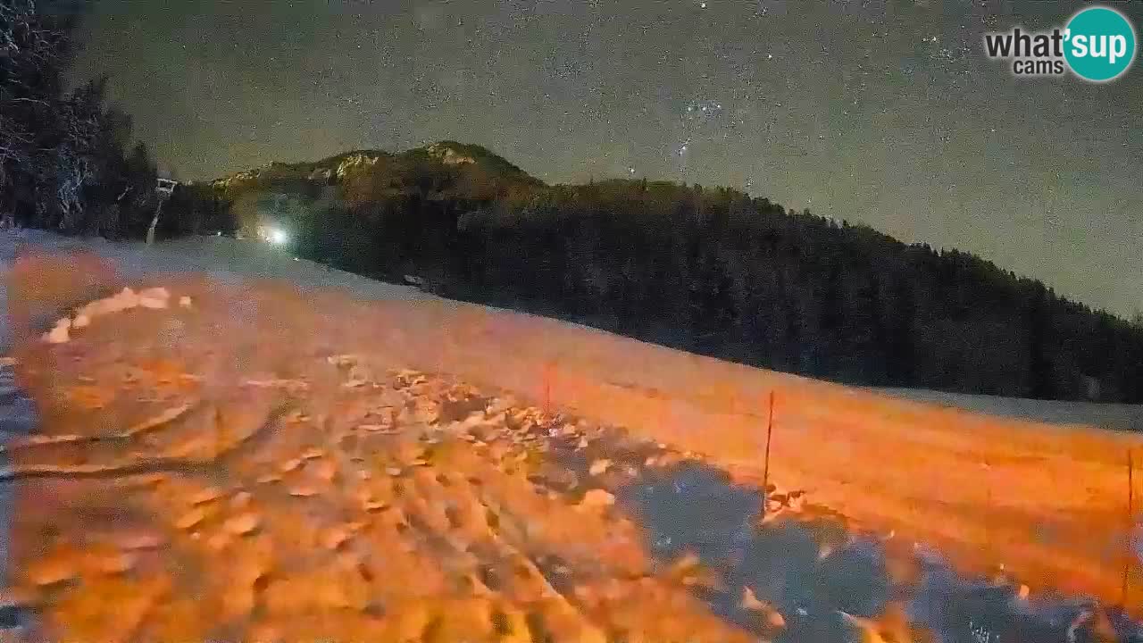 Comprensorio sciistico Kranjska Gora | Brsnina