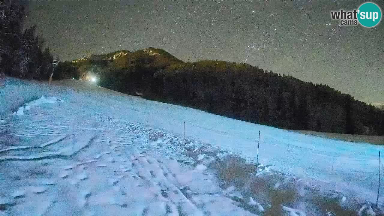 Comprensorio sciistico Kranjska Gora | Brsnina