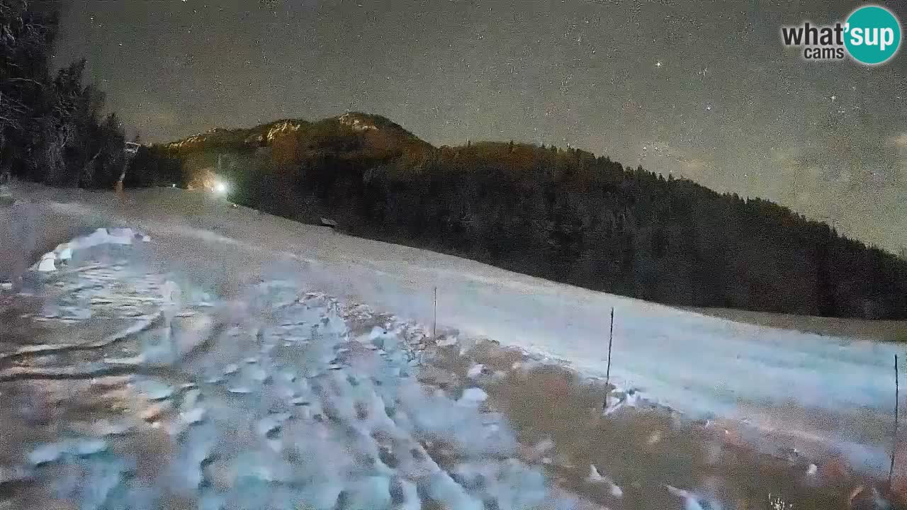 Kranjska Gora Station de ski | Brsnina