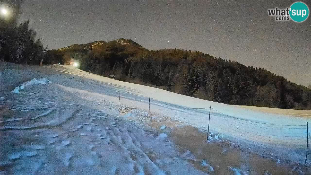 RTC Skigebiet Kranjska Gora | Brsnina