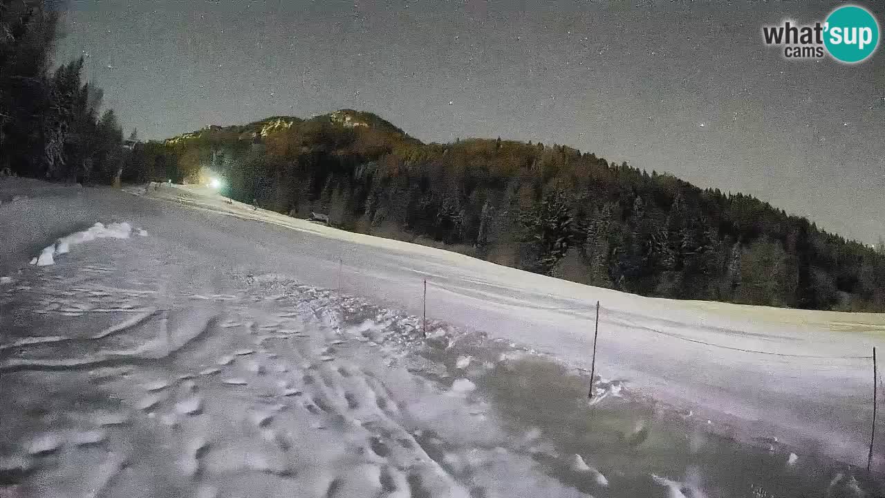 Kranjska Gora SKIJANJE | Brsnina