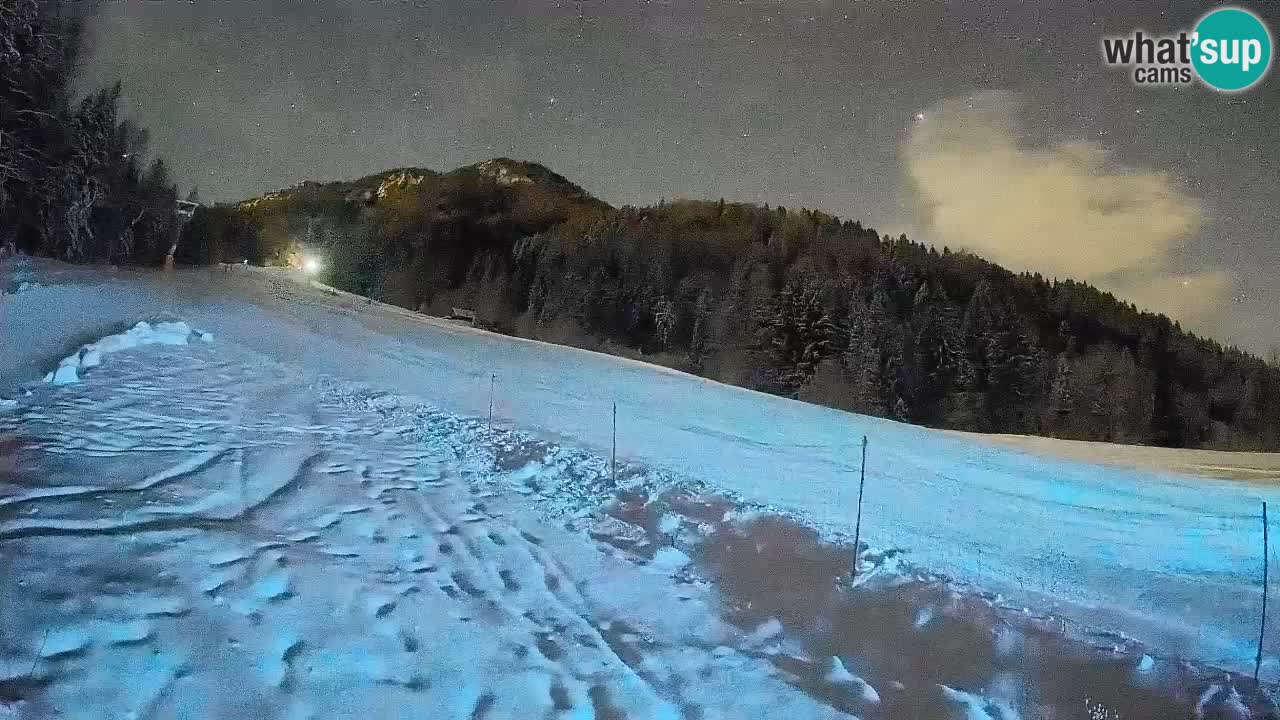 RTC Kranjska Gora | Brsnina