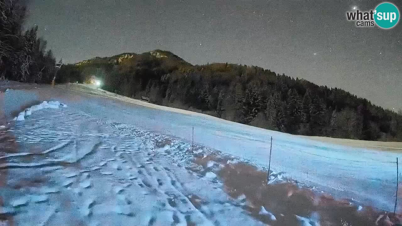 Ski Kranjska Gora | Brsnina