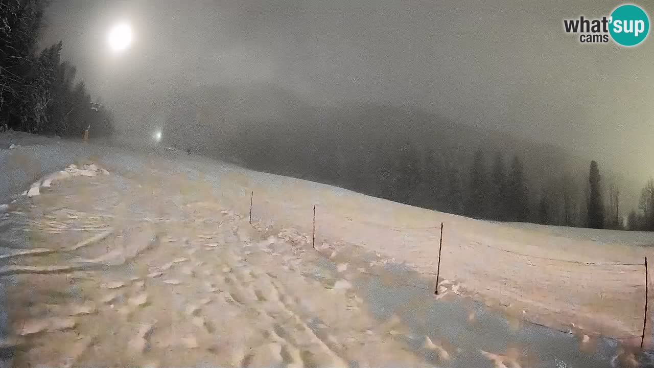 Comprensorio sciistico Kranjska Gora | Brsnina