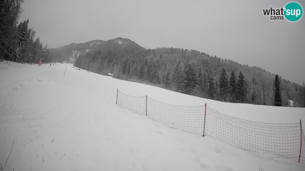 RTC Kranjska Gora | Brsnina