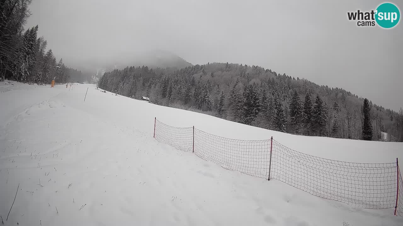 Comprensorio sciistico Kranjska Gora | Brsnina