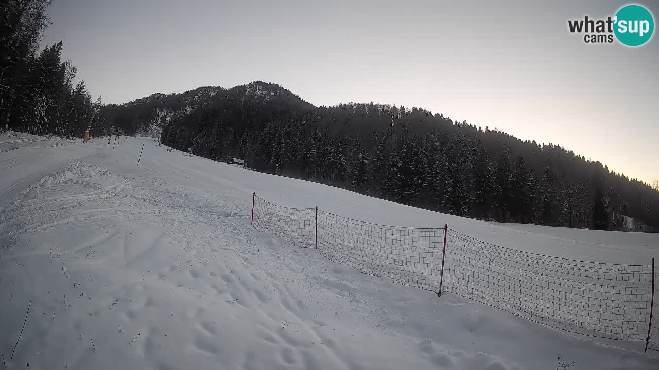 Ski Kranjska Gora | Brsnina