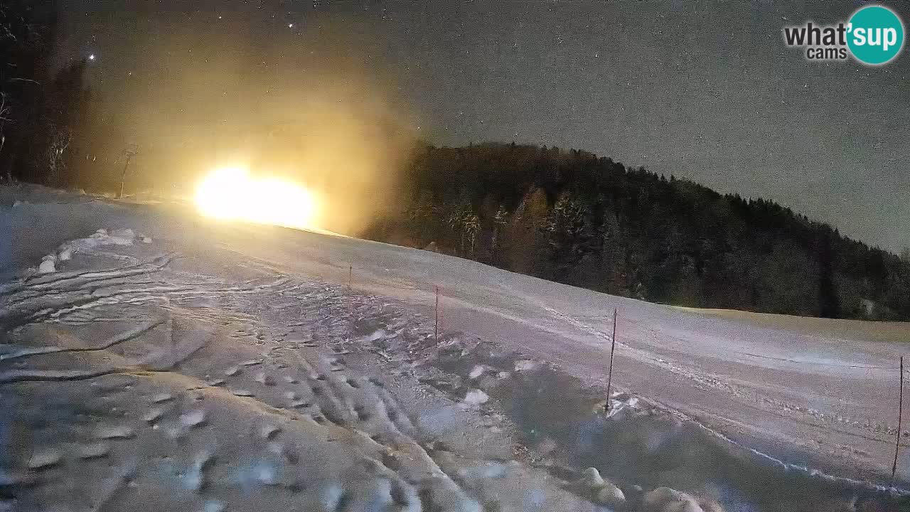 Comprensorio sciistico Kranjska Gora | Brsnina