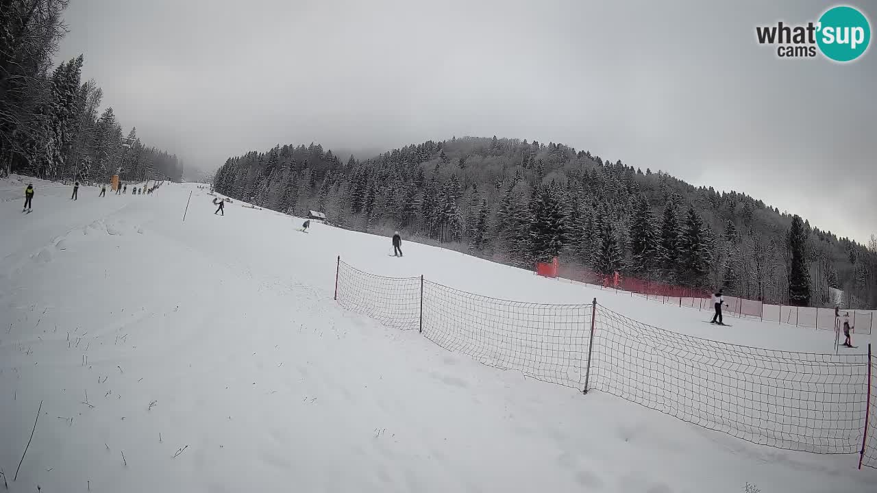Esquí Kranjska Gora | Brsnina