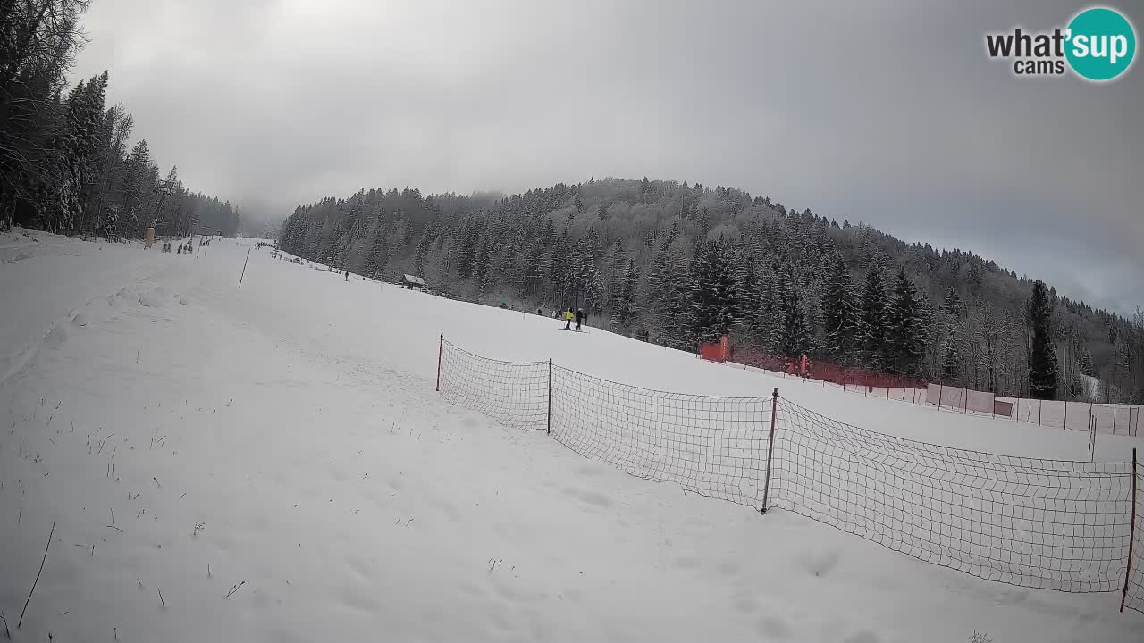 Comprensorio sciistico Kranjska Gora | Brsnina