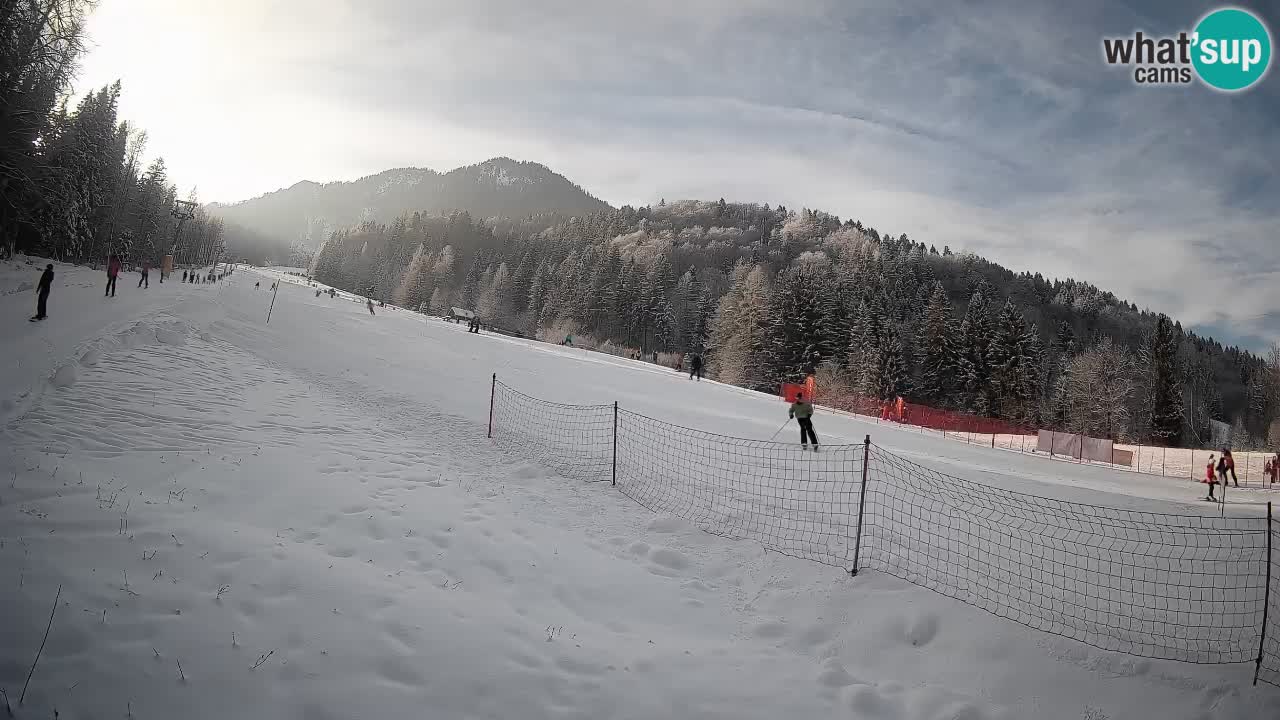 RTC Skigebiet Kranjska Gora | Brsnina