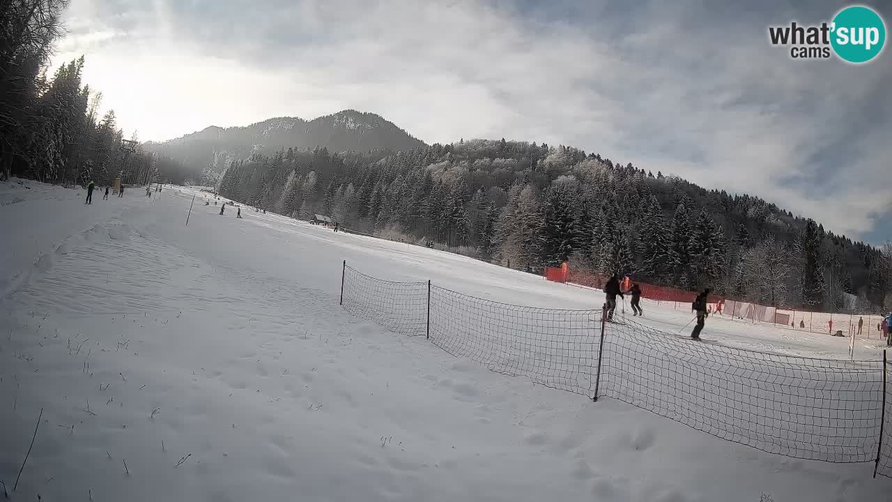 Ski Kranjska Gora | Brsnina